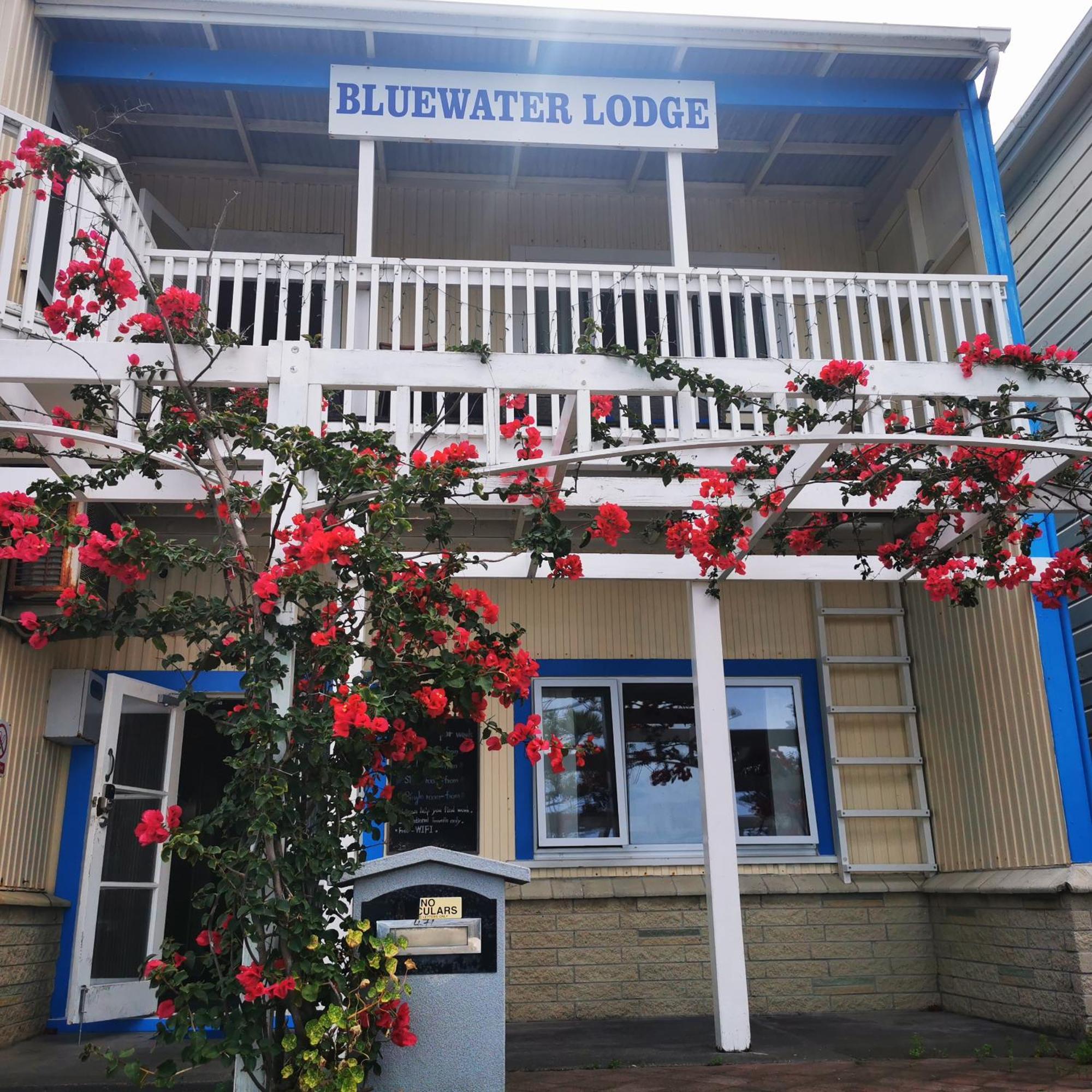Bluewater Lodge Napier Dış mekan fotoğraf